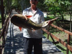 pescaria no pantanal